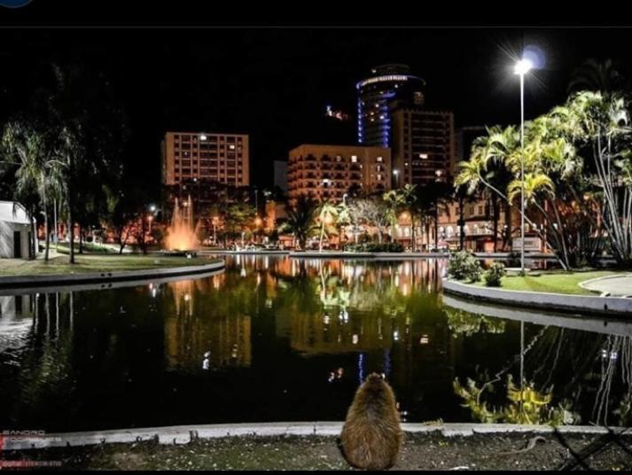 Apartamento Aconchegante Centro Aguas De Lindoia Apartment Bagian luar foto